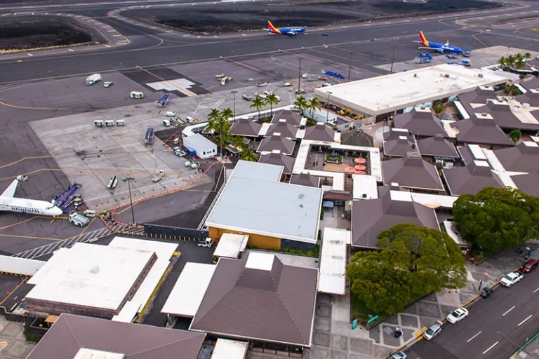 Airplanes at the terminal and one on the runway.